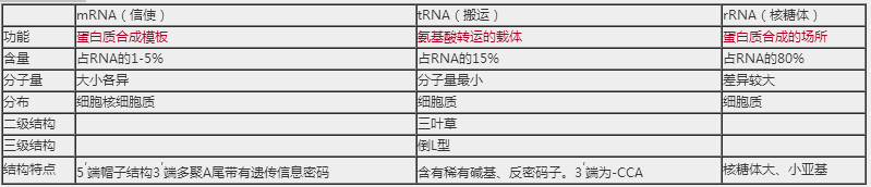 2018年临床执业医师生物化学科目高频考点