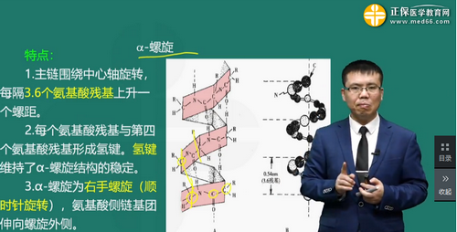 蛋白质的化学