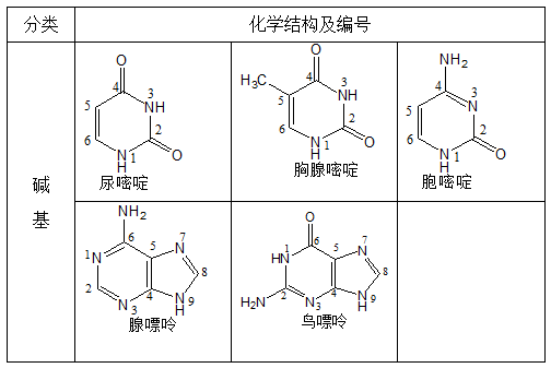 执业药师