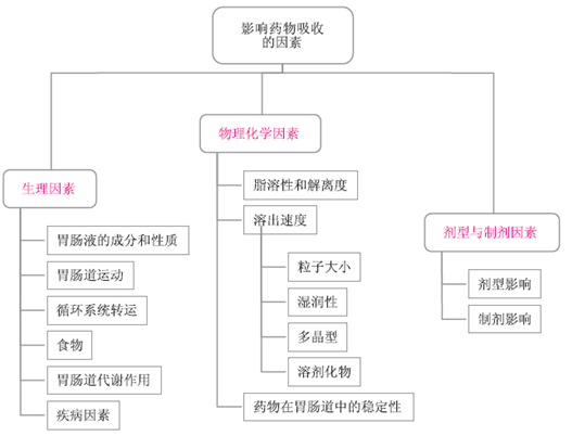 药物的胃肠道吸收--执业药师考试辅导精华