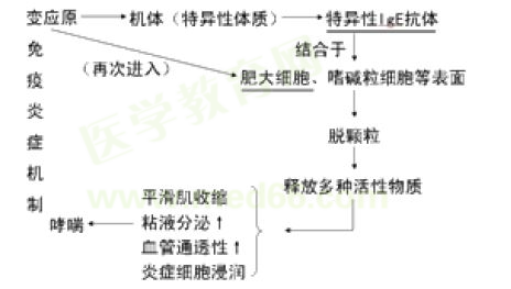 支气管哮喘