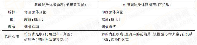 胆碱能受体激动药VS胆碱能受体阻断药