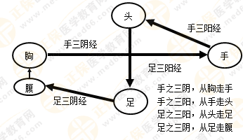 专业师资带你学（九）：执业药师《中药综》经络与经络系统！5图2表！