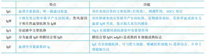 免疫球蛋白的结构和功能