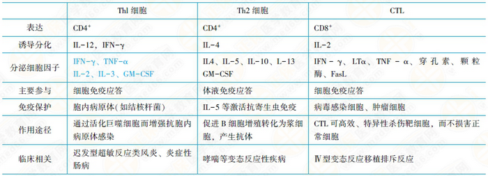 体液免疫应答