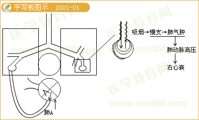 实践技能辅导精华