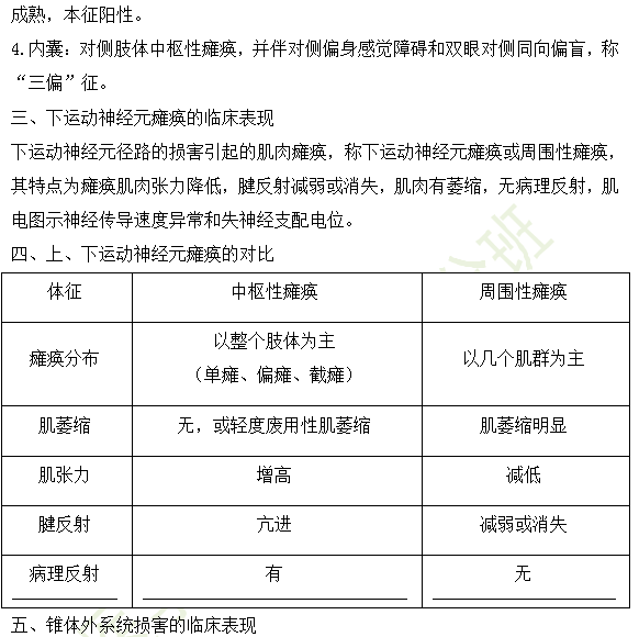 2019年临床执业医师精神神经系统高频考点汇总第4期