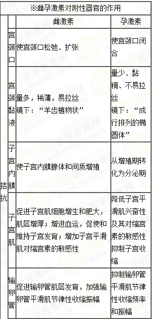 雌、孕激素的生理作用及附性器官的周期性变化