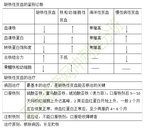 缺铁性贫血