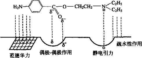 范德华力示意图图片