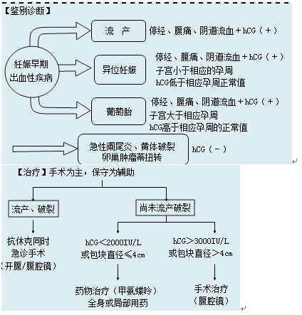 宫外孕