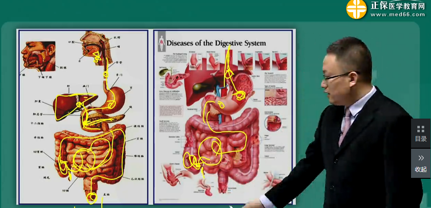 【视频】2019年临床执业医师消化系统科目特点及复习建议