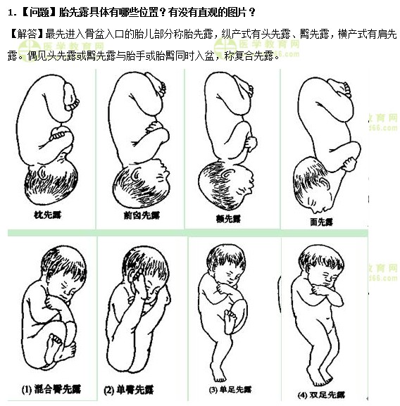 医学教育网主管护师：《答疑周刊》2020年第18期