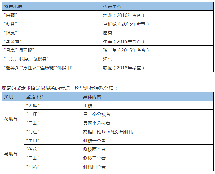 中药鉴定知识：常用动物类中药的鉴定术语