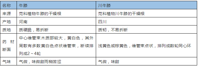 中药鉴定：牛膝和川牛膝