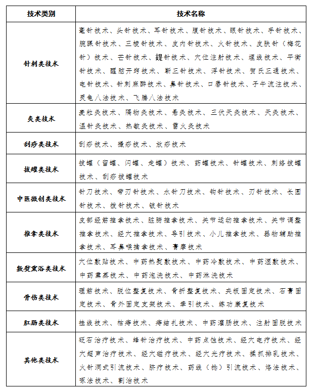 中医医术专长考核中医医疗技术目录（含10类）