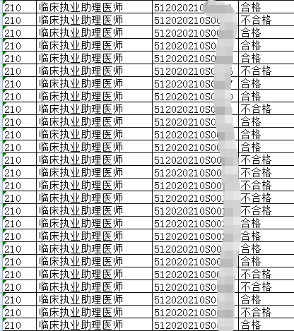 2020年7月11日雅安考点临床助理医师实践技能考试合格成绩名单公布