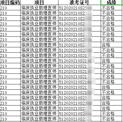 2020年四川雅安市临床执业助理医师实践技能考试7.20日技能成绩查询