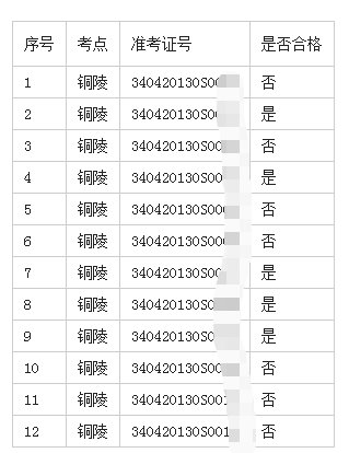 2020年公卫执业助理医师实践技能考试铜陵考点技能考试成绩查询