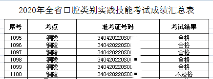 铜陵市2020执业助理口腔医师技能成绩单