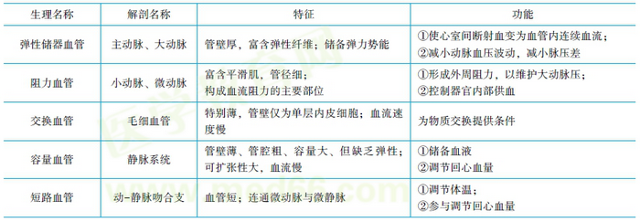 各类血管的功能特征