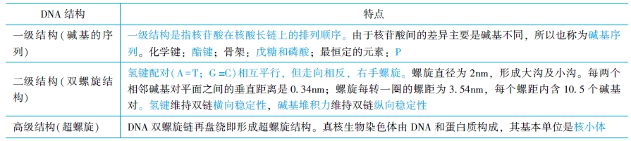 DNA各级结构的特点