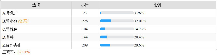 肾实质的结构不包括