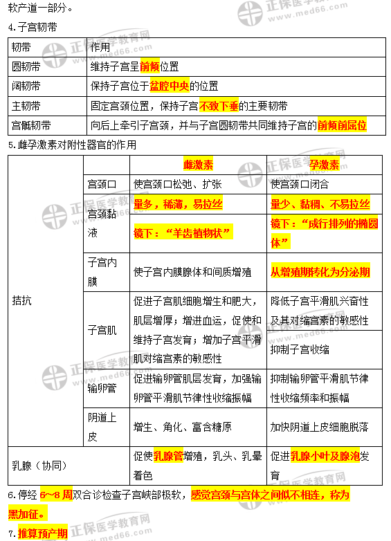 女性生殖系统