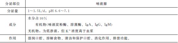 口腔内消化