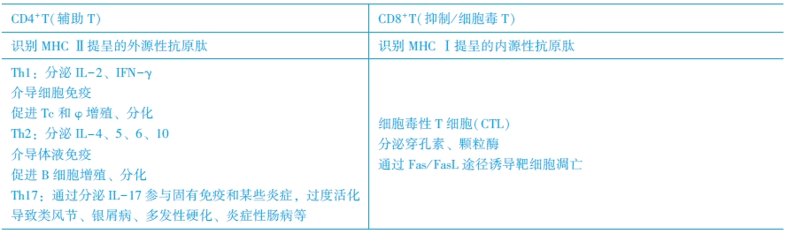 T淋巴细胞亚群及其功能