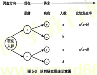 【基础知识】健康管理师第五章重点整理（八）