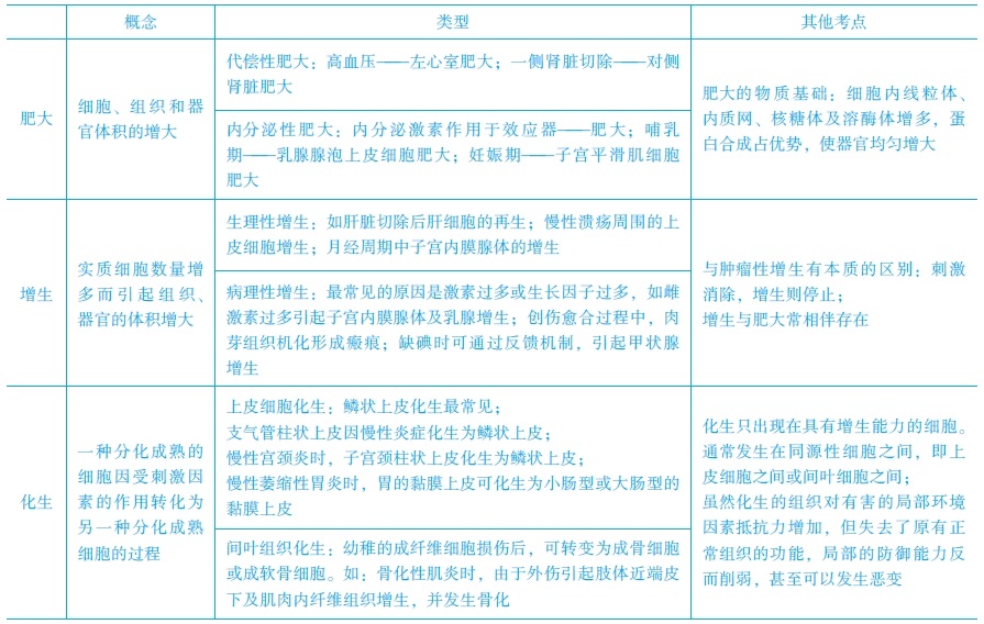 增生、化生和肥大的常见考点　