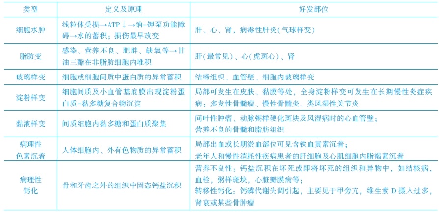 　可逆性损伤的常考点