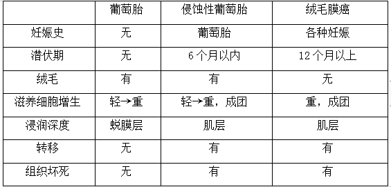 绒癌、侵蚀性葡萄胎、葡萄胎的鉴别