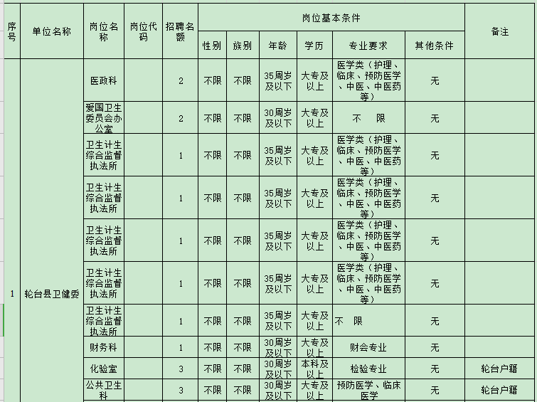 2020年新疆轮台县面向社会公开招聘编制外工作人员职位表（27人）