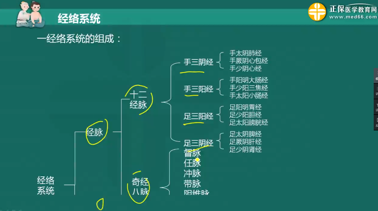 中医灸疗师手册：中医经络腧穴学之十二经脉