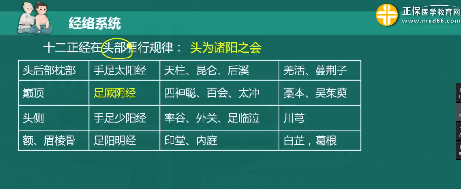 【中医灸疗师】十二经脉联络的脏腑器官有哪些？