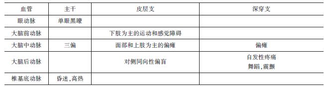 不同动脉支配区梗死的临床表现