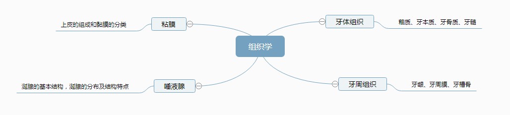 2022口腔主治医师考试-组织学考什么？思维导图来啦！