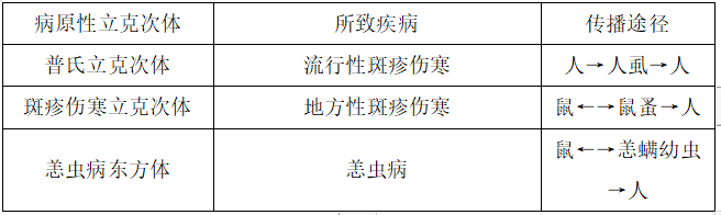 医学微生物学“立克次体”2021年临床医师分阶段考试高频考点与试题