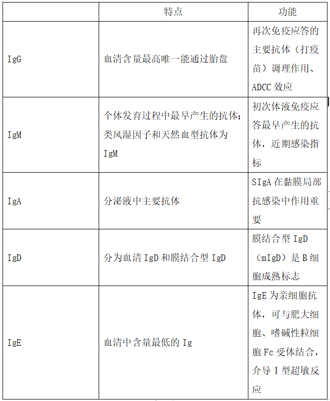 医学免疫学“各类免疫球蛋白的特性和功能”2021年临床医师分阶段考试高频考点与试题