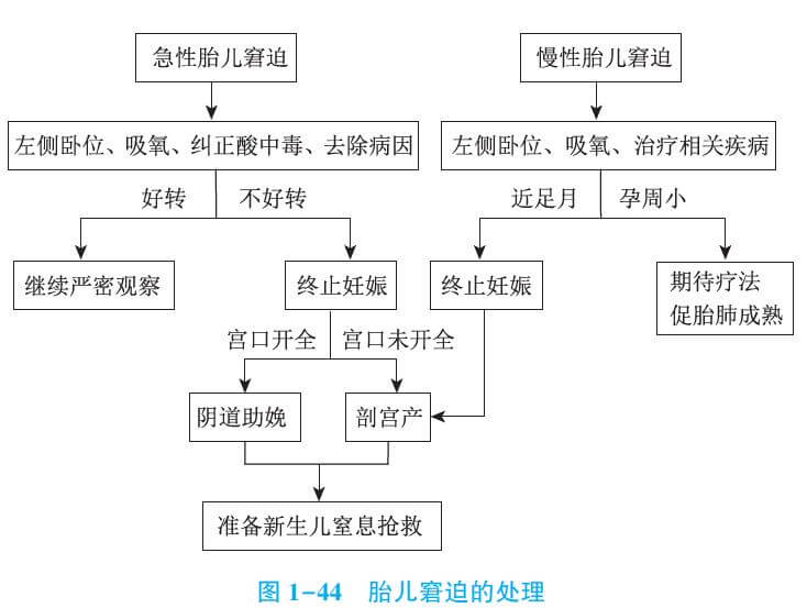 临床助理医师考试病理妊娠考点胎儿窘迫处理