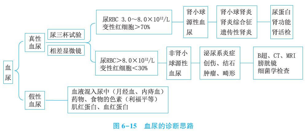 排尿排便评估思维导图图片