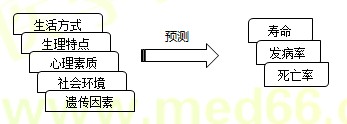 【技能操作】健康管理师第二章重点整理（六）