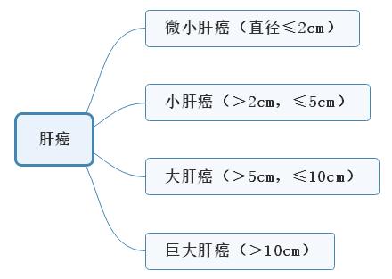 肝癌1