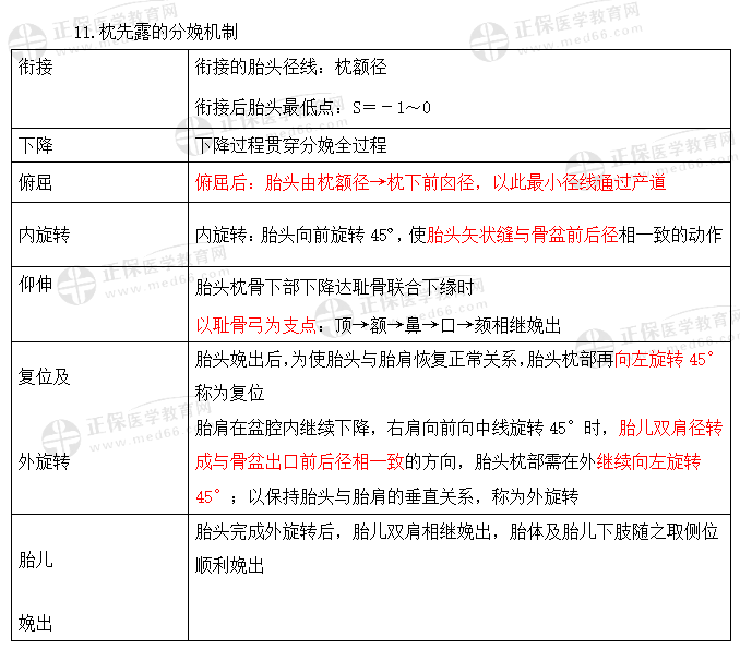 枕先露的分娩机制