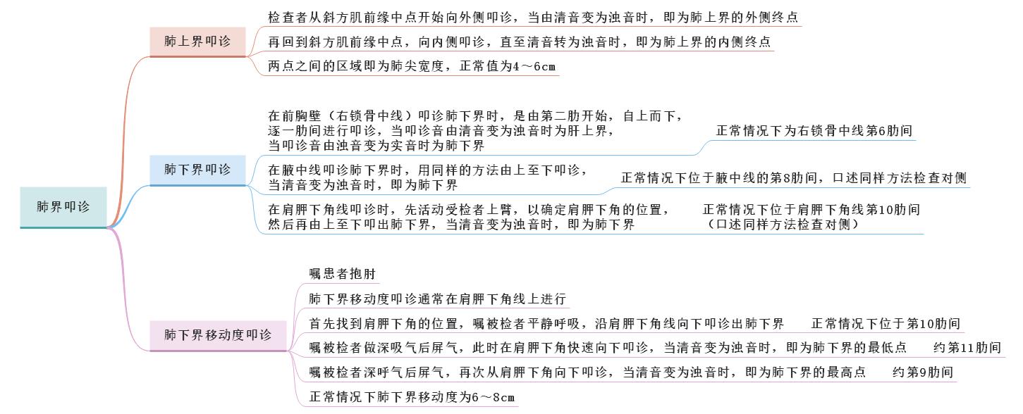 2021年乡村全科助理医师体格检查：肺下界移动度叩诊重点提醒