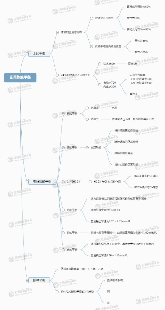 正常体液平衡-2023主管护师考生必看知识点