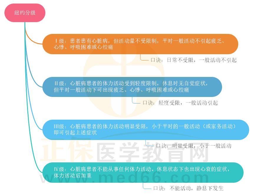 2.纽约分级思维导图