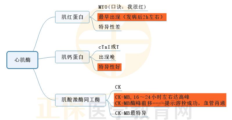 9.心肌梗死心肌酶思维导图